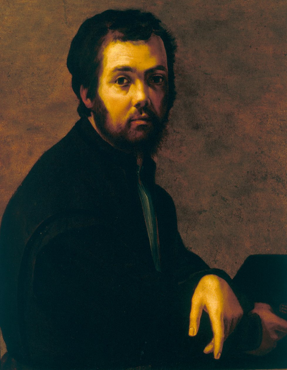 Bir adamın portresi by Francesco de Rossi Salviati Cecchino