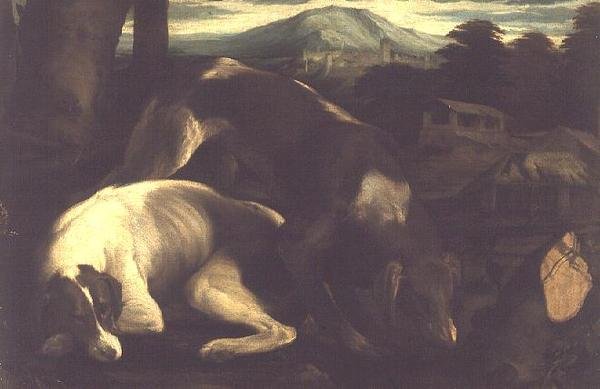 İki Av Köpeği, c.1555 by Francesco Bassano