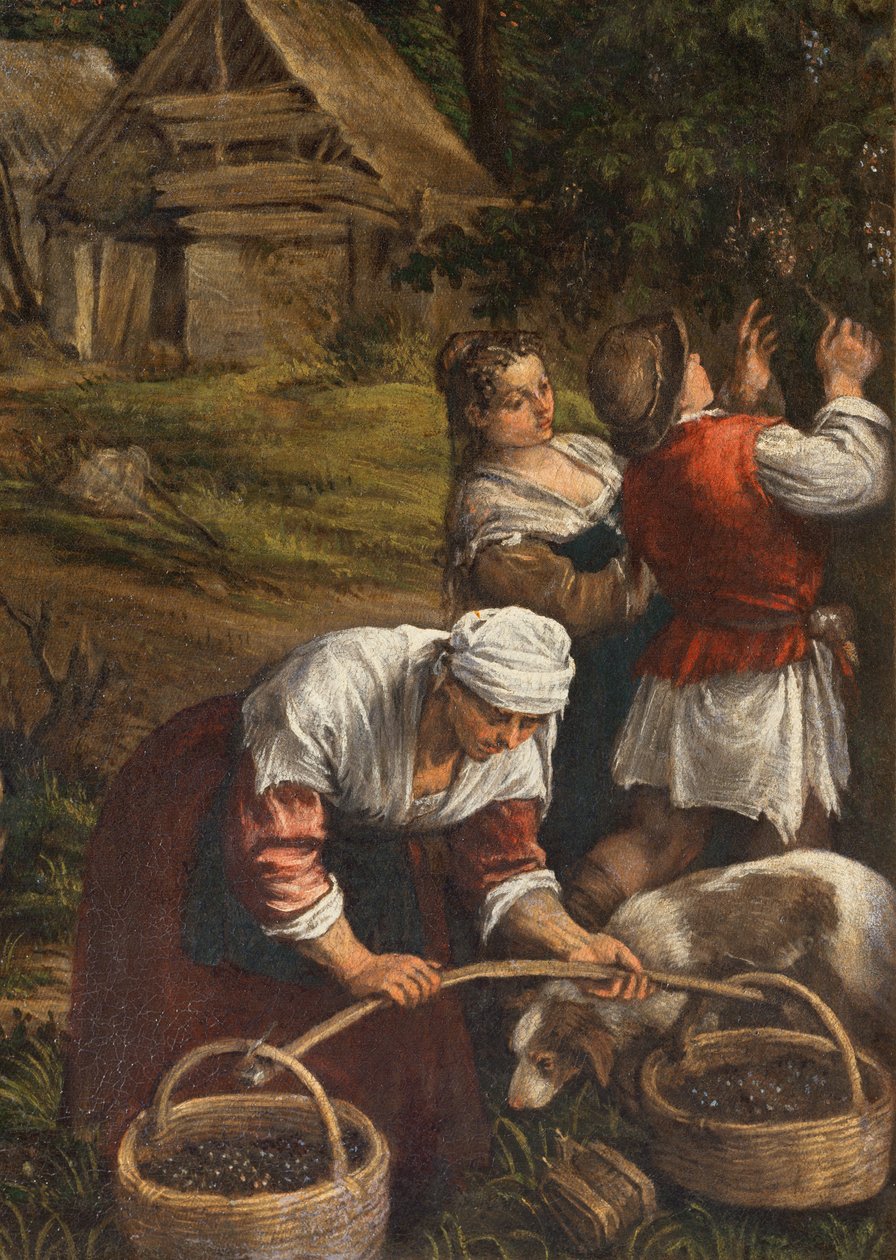 Hasat, (Musa On Emri alır), (65689 detay), 1576 by Francesco Bassano