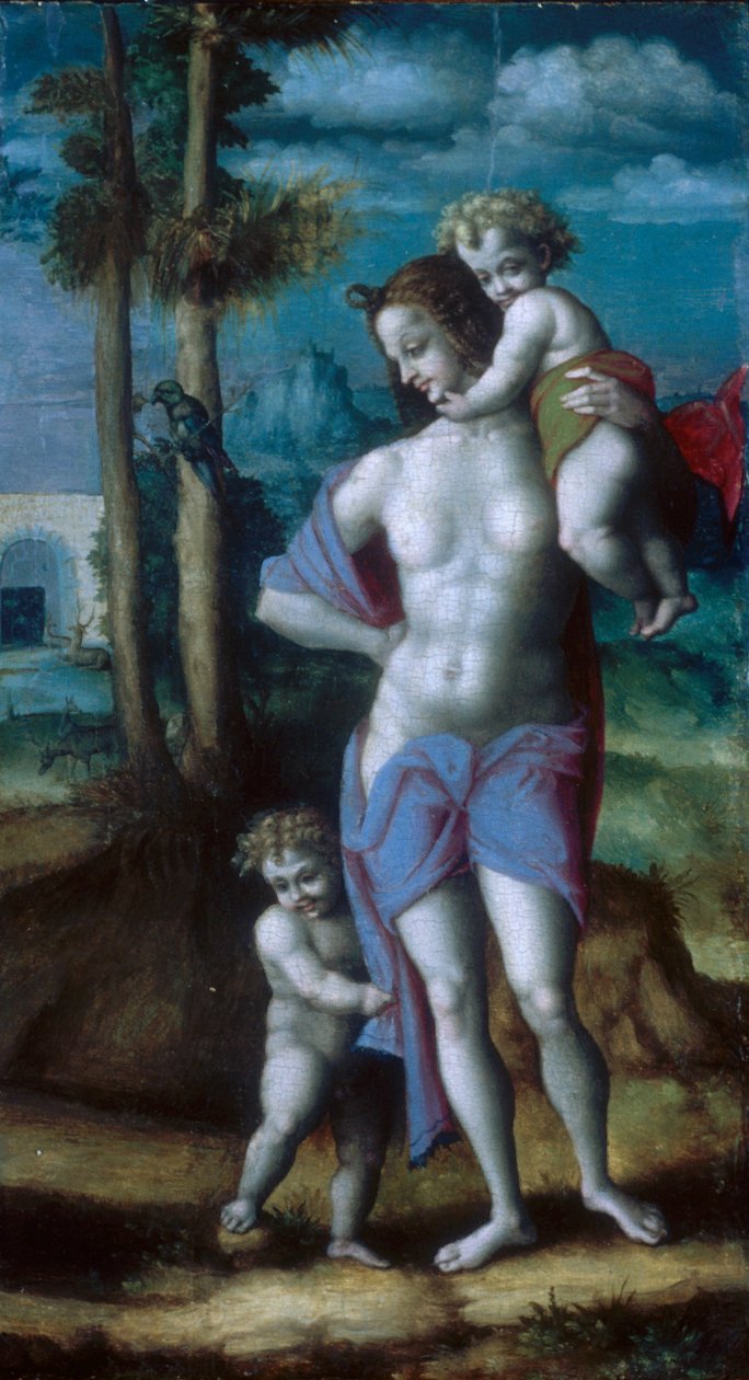  by Francesco Bacchiacca