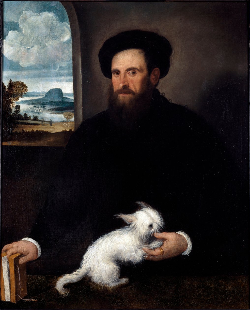 Küçük Köpekli Beyefendinin Portresi Francesco Beccaruzzi (yaklaşık 1492-1563) 1540 yakl. Dim 101x84 cm Milano, Sforzesco Kalesi Sivil Koleksiyonları by Francesco Beccaruzzi