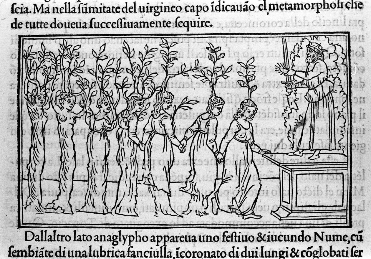 Dominik keşiş Francesco Colonna, Venedik tarafından “Hypnerotomachia Polyphili” (Poliphila rüyası) üzerine gravür by Francesco Colonna