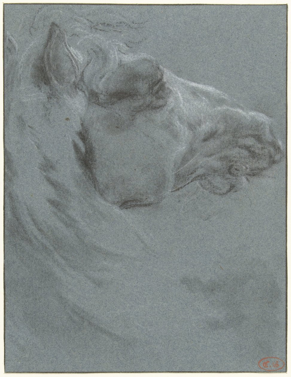 Bir atın başı by Francesco Giuseppe Casanova