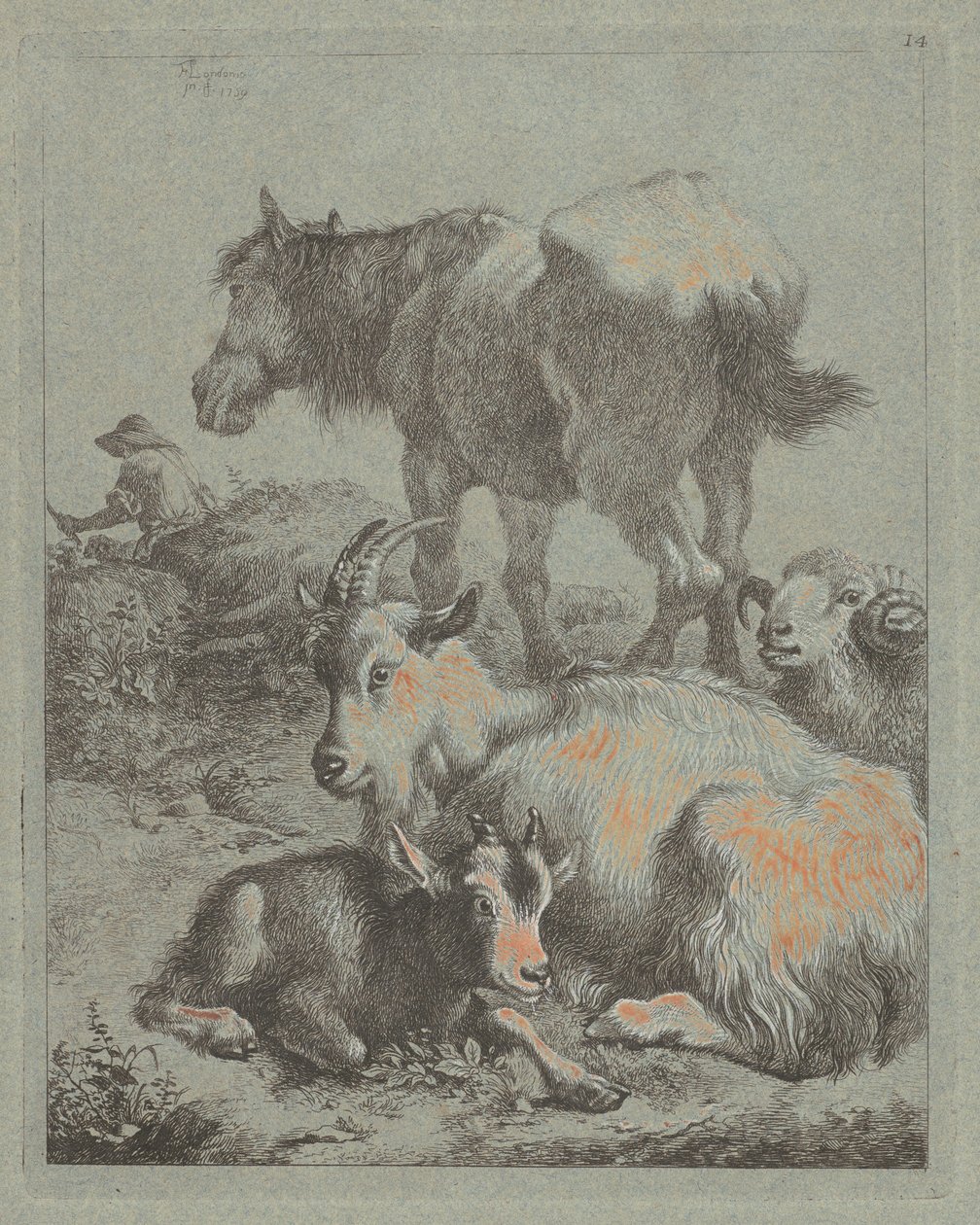 At, Koç, Çocuklu Keçi, Uzakta Sürüsüyle Bir Çoban, 1759. by Francesco Londonio