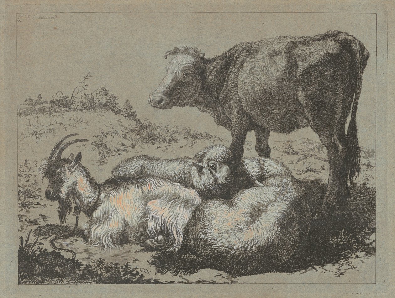 Ayakta Öküz, İki Koyun ve Keçi, c. 1762. by Francesco Londonio