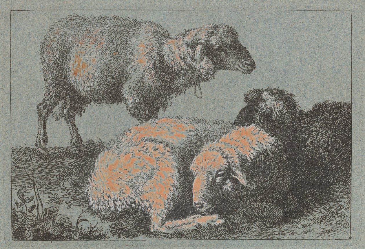 İki Yatan Koyun ve Bir Ayakta Koyun, 17571758. by Francesco Londonio