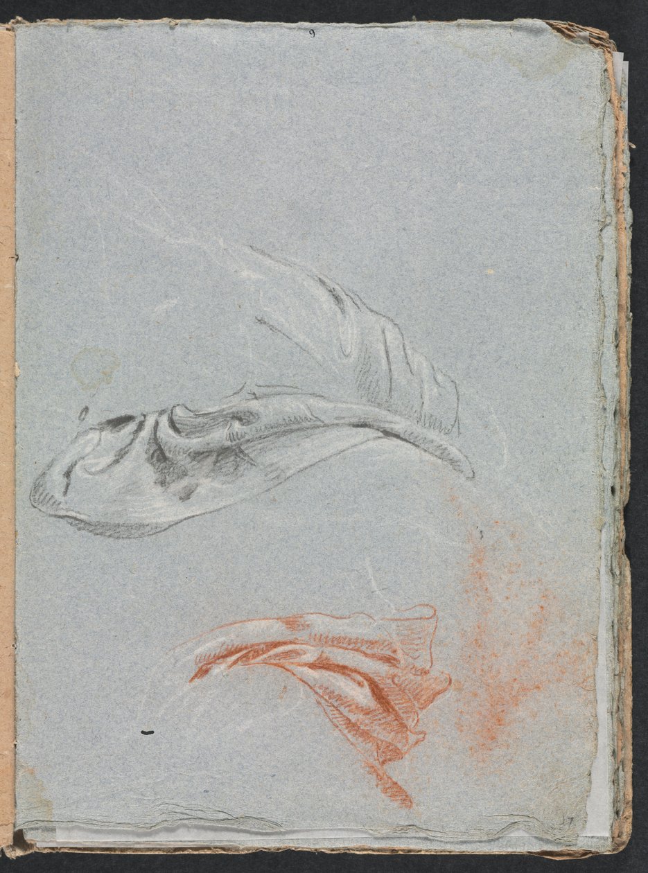 Verona Sketchbook: Perdelik çalışmaları sayfa 17, 1760. by Francesco Lorenzi