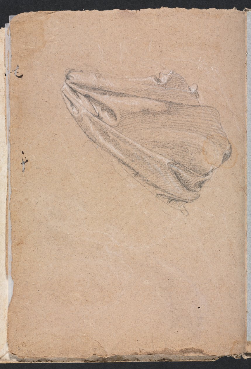 Verona Sketchbook: Perdelik çalışma sayfası 6, 1760. by Francesco Lorenzi