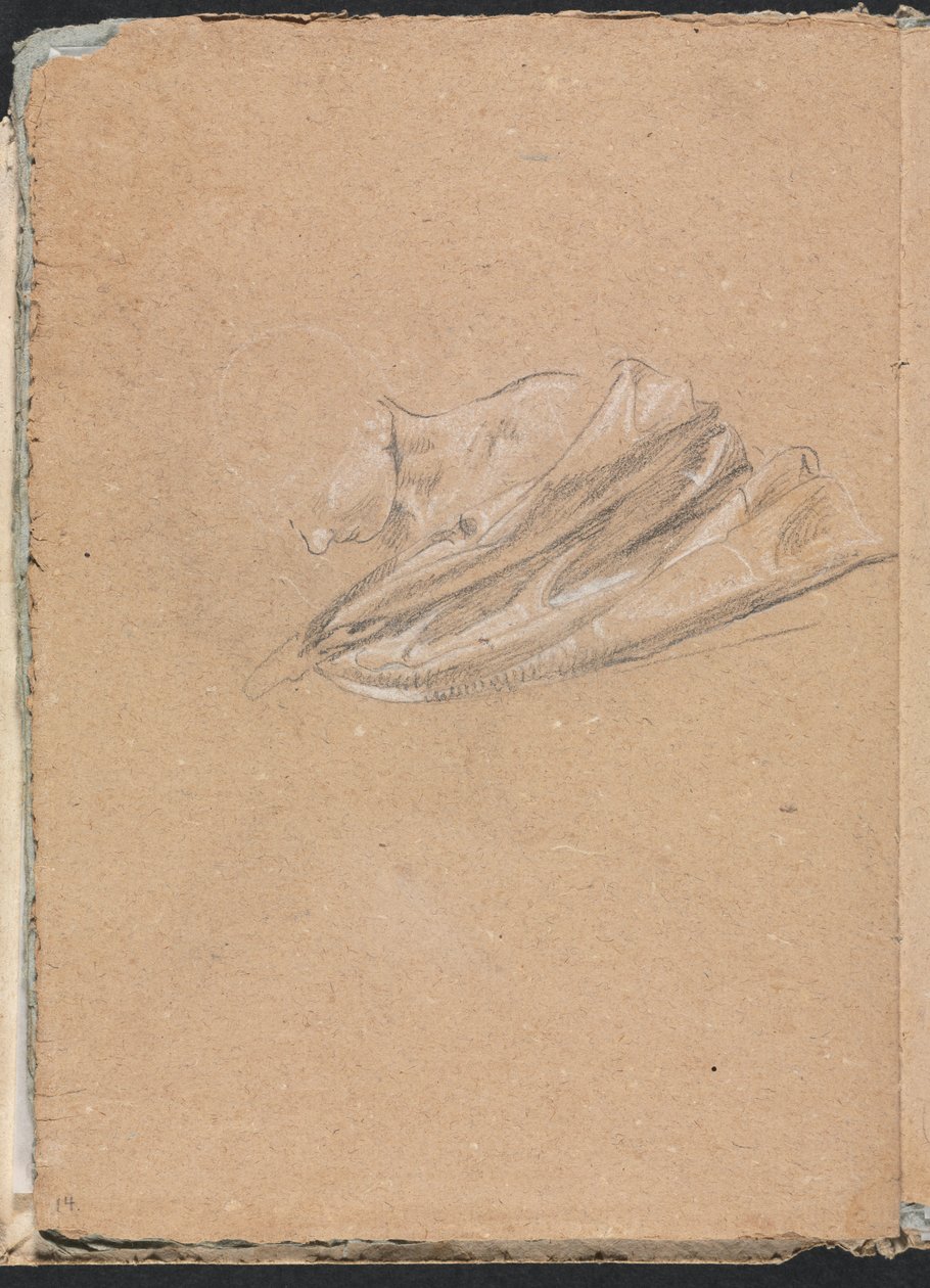 Verona Sketchbook: Perdeli baş ve omuz sayfa 14, 1760. by Francesco Lorenzi