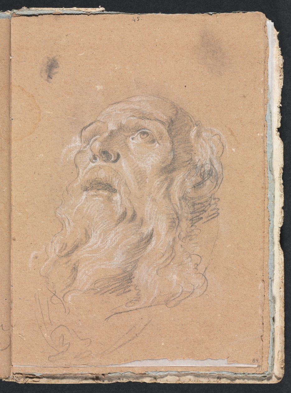 Verona Sketchbook: Erkek baş sayfa 89, 1760. by Francesco Lorenzi