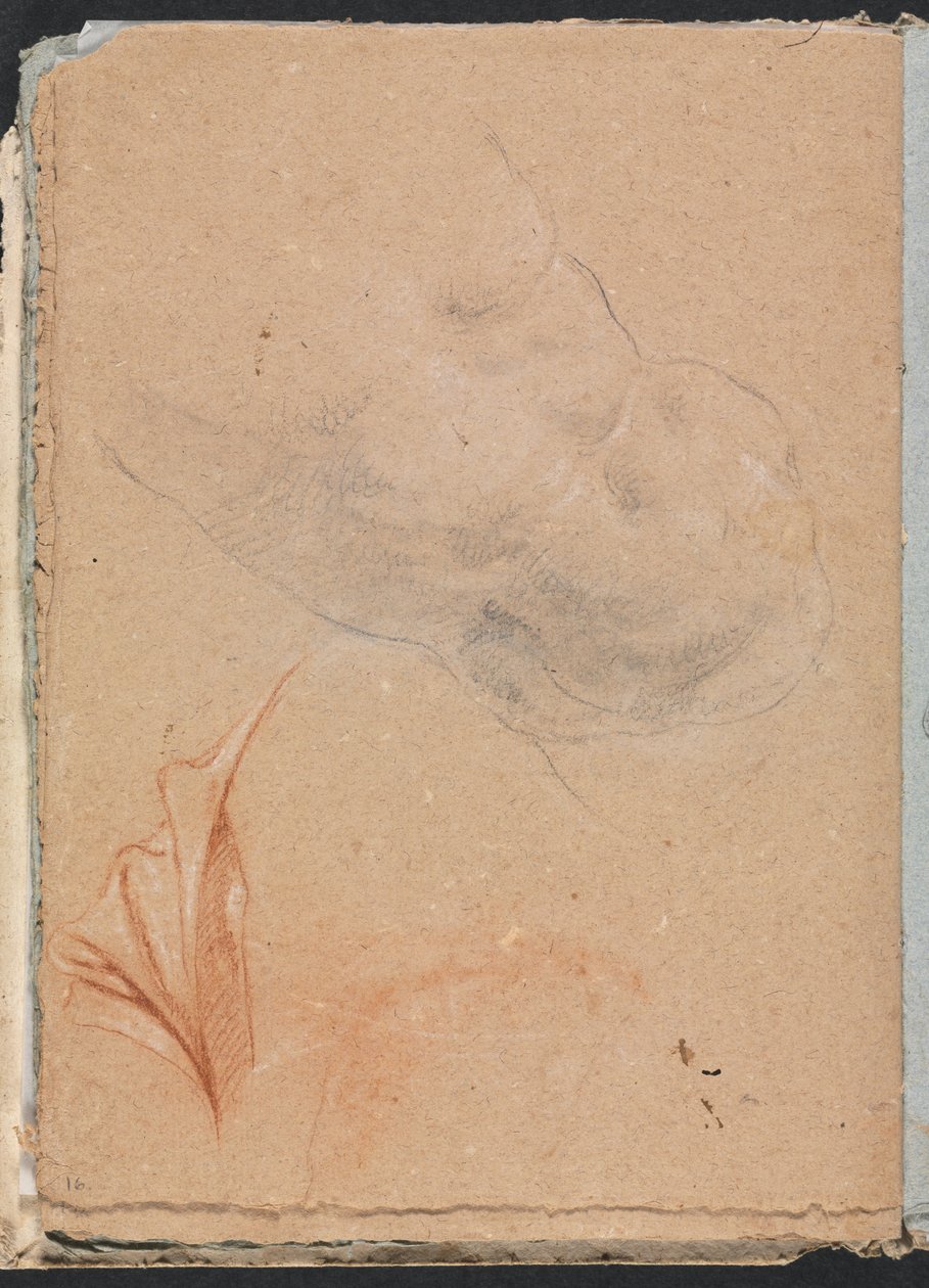 Verona Sketchbook: Perdeli çıplak erkek gövde, sayfa 16, 1760. by Francesco Lorenzi
