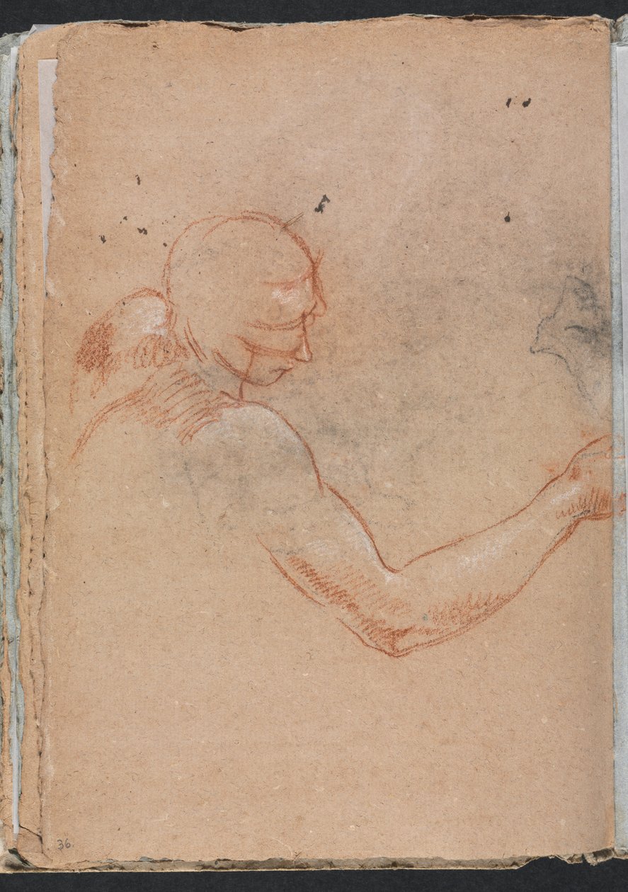 Verona Sketchbook: Baş ve sağ kol ile Nude (sayfa 36) by Francesco Lorenzi