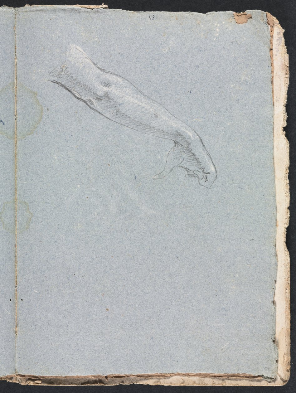 Verona Sketchbook: Sağ kol ve el sayfası 95, 1760. by Francesco Lorenzi