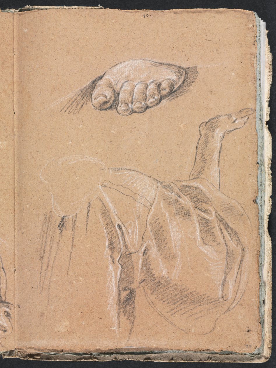 Verona Sketchbook: Sağ kol ile bir sol ayak ve perdelik etüdü çalışması sayfa 79, 1760. by Francesco Lorenzi