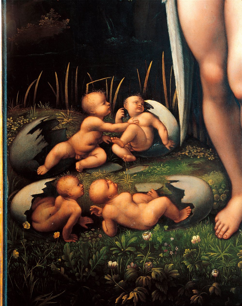 by Francesco Melzi or Melzo