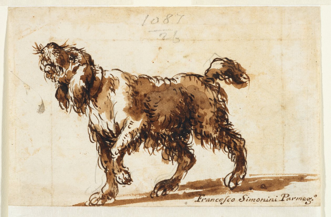Köpek uluması (rekto), yaklaşık 1700-50 (siyah tebeşir, kalem ve kahverengi mürekkep, kahverengi yıkama, kağıt üzerine grafit) by Francesco Simonini