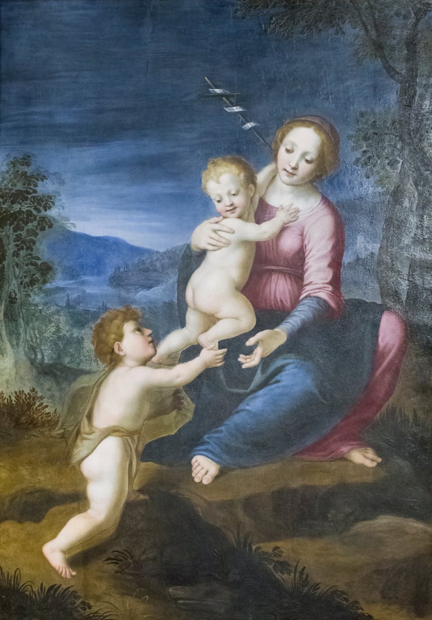 İsa ve Vaftizci Yahya ile Bakire by Francesco di Cristofano Franciabigio