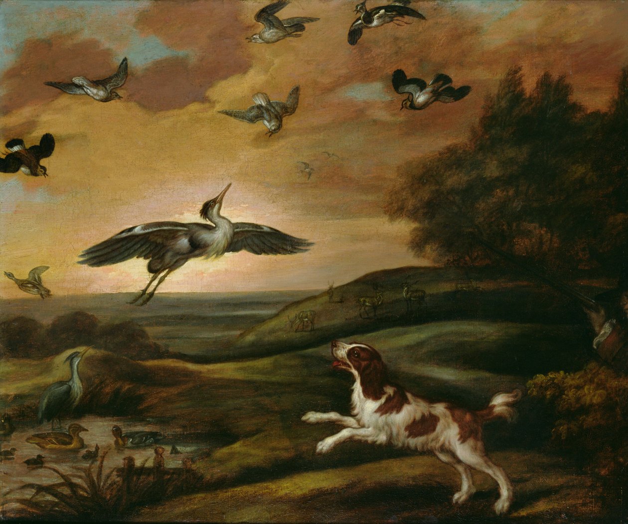Plover Çekimi by Francis Barlow