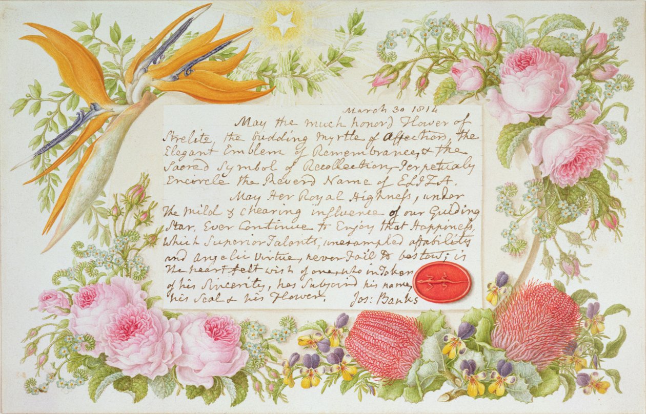 Joseph Banks, 1814 (kağıt üzerinde wc) tarafından yazılı bir mesajla karışık çiçeklerden oluşan bir çevre by Francis Bauer