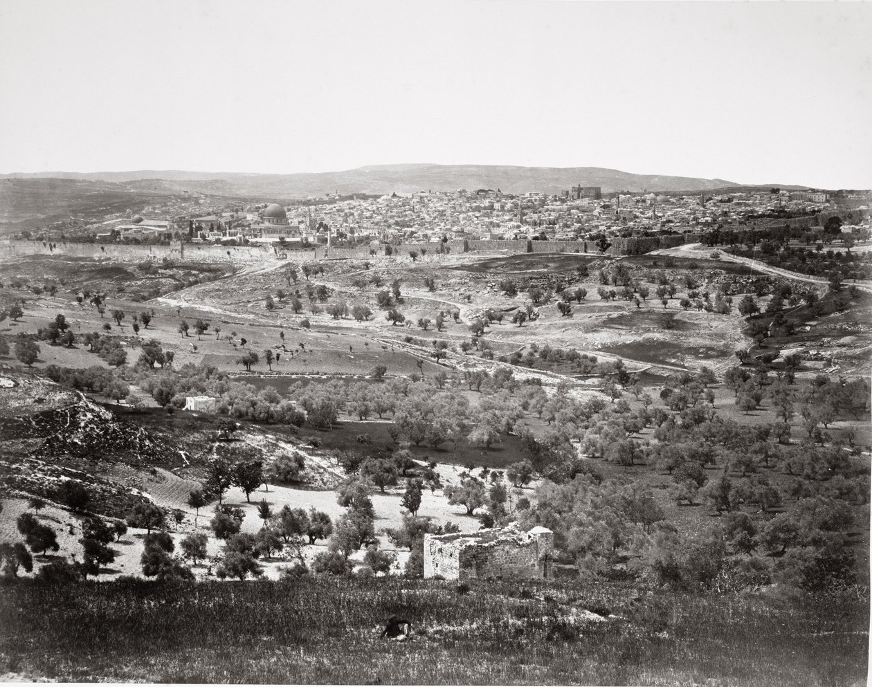 Zeytin Dağı