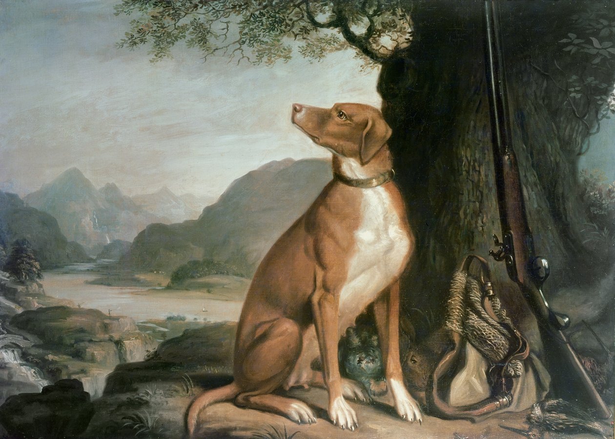 Bir manzarada G. M. Johnston