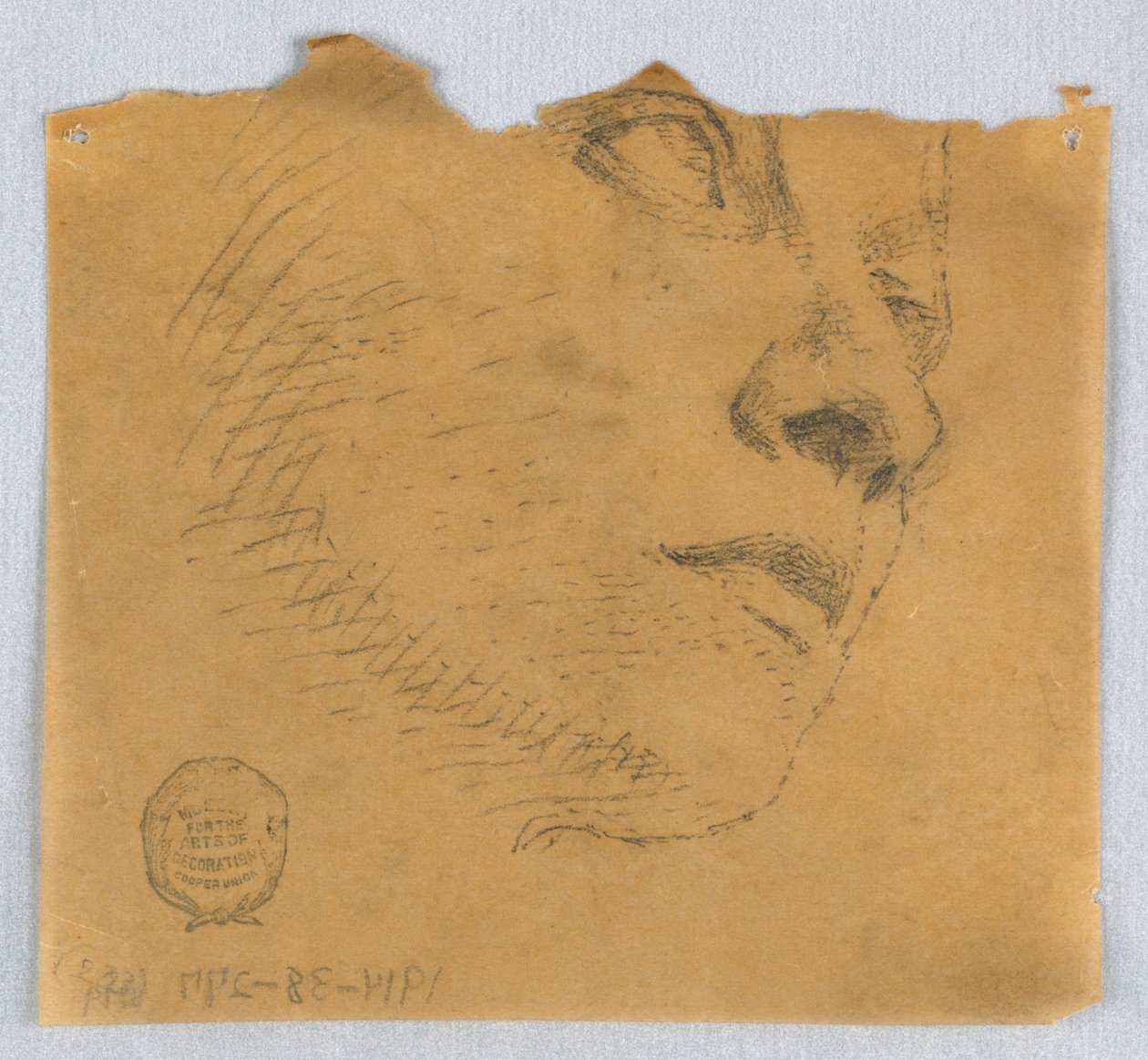 Bir Yüzün Kısmi Çizimi by Francis Augustus Lathrop