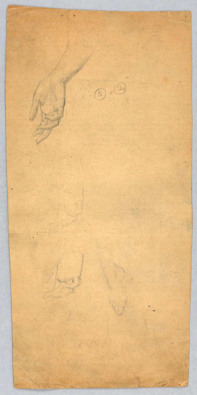 Eller ve Ayak Çalışmaları by Francis Augustus Lathrop