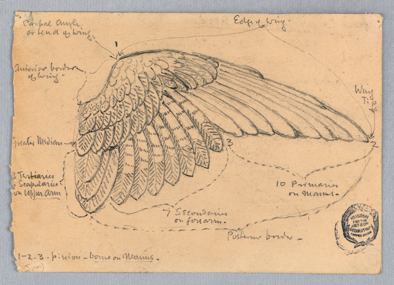 Kanat Çalışması by Francis Augustus Lathrop