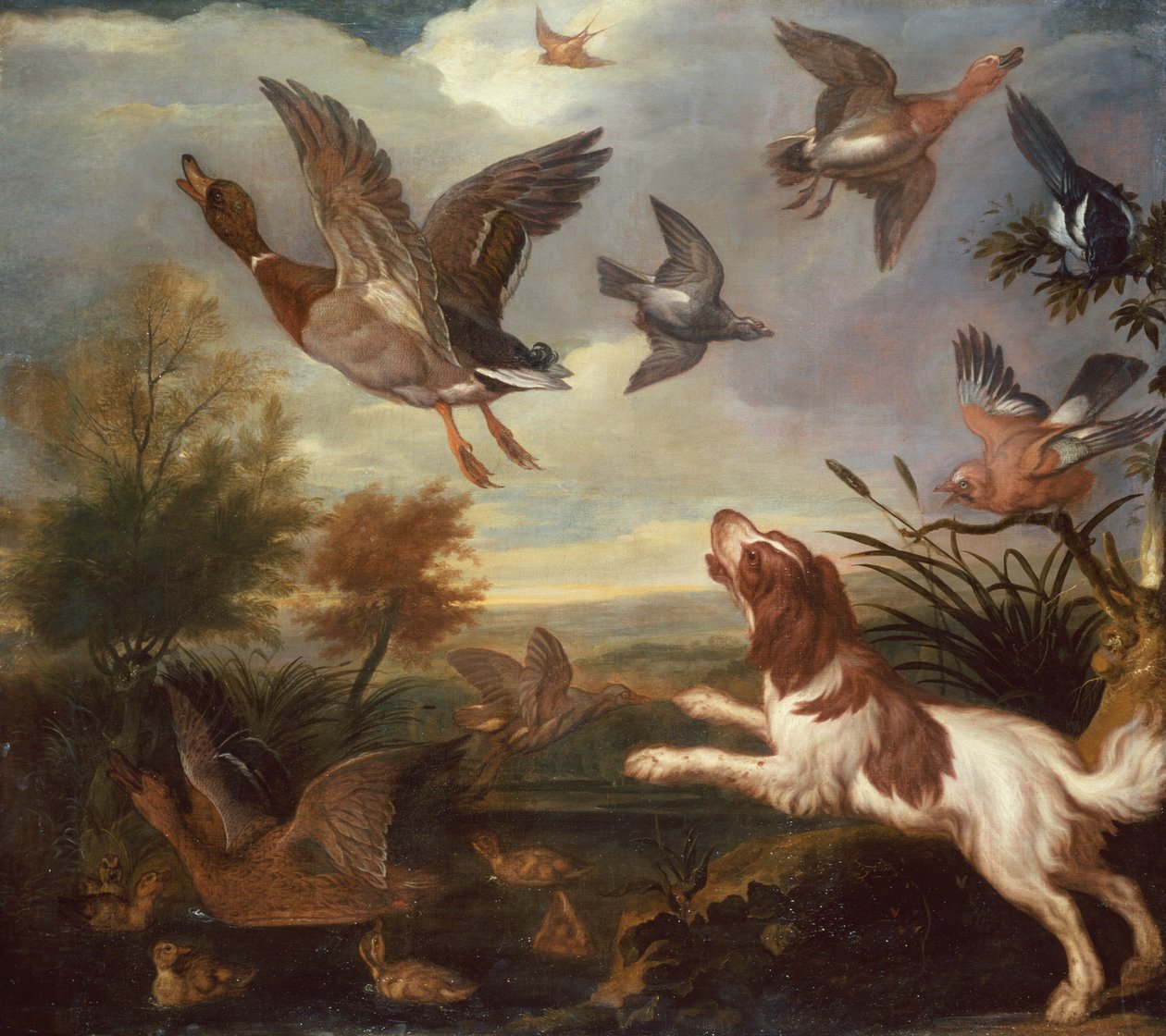 Bir Spaniel Flushing Mallard (tuval üzerine yağlı boya) by Francis Barlow