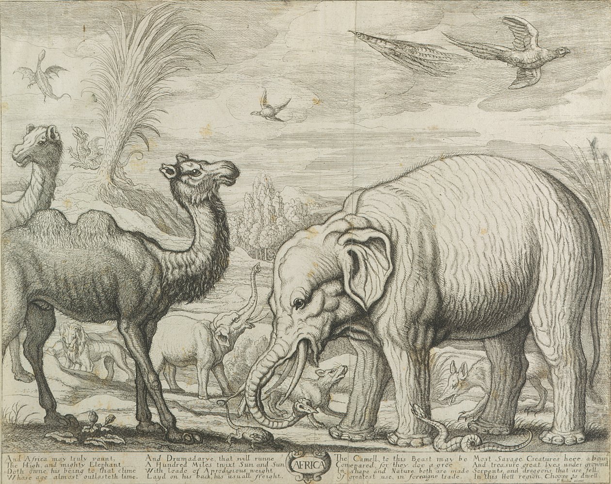Afrika, 1672 by Francis Barlow