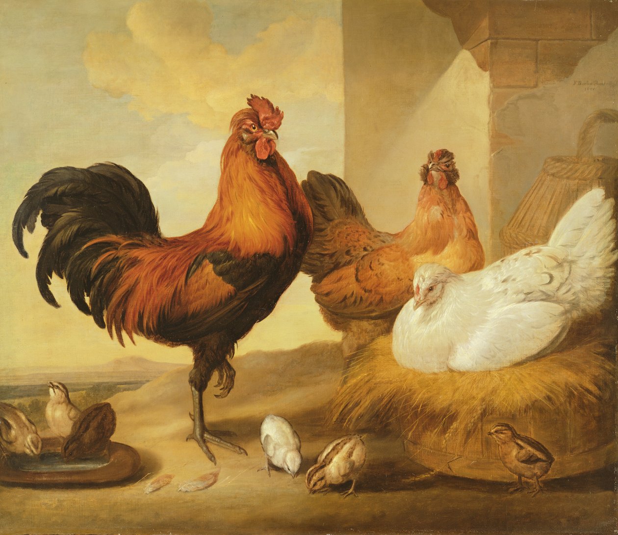 Yerli Horoz, Tavuklar ve Civcivler, 1655 by Francis Barlow