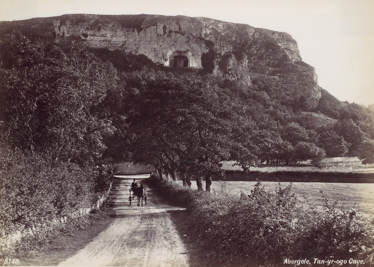 Abergele, Tan-yr-ogo Mağarası, 1870