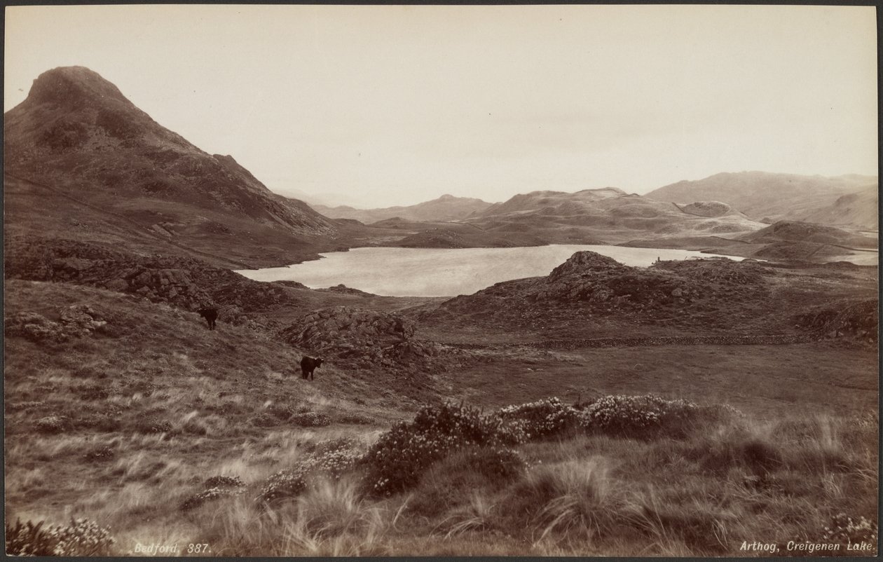  by Francis Bedford