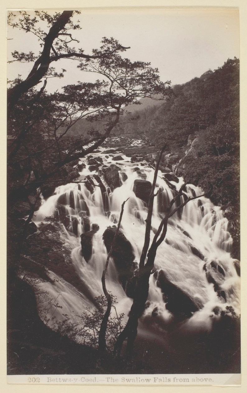 Betws-y Coed, Yukardan Düşen Kırlangıç by Francis Bedford