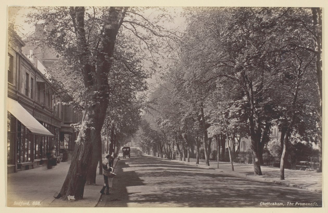 Cheltenham, Gezinti Yolu by Francis Bedford