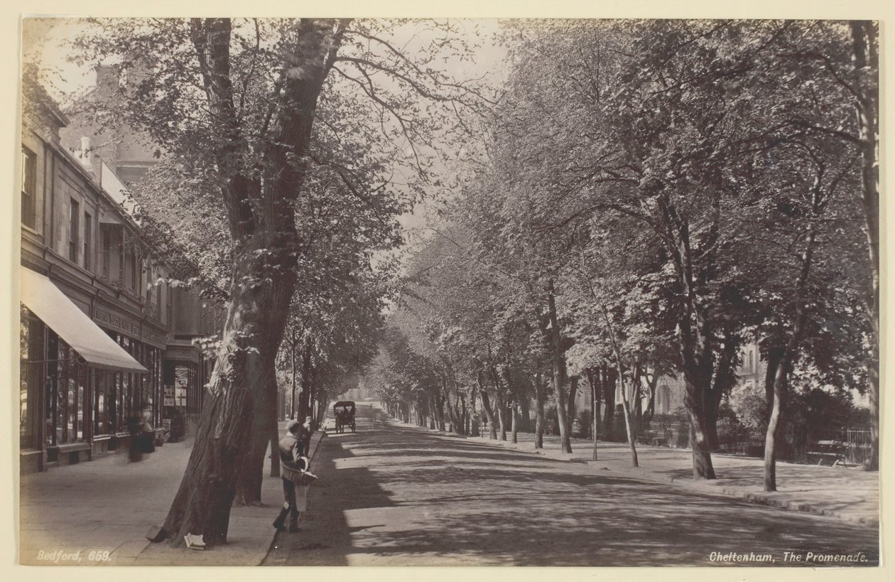 Cheltenham, Gezinti Yolu, 186094. by Francis Bedford