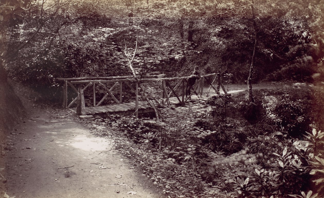 Colwyn Körfezi. Ormanda Rustik Köprü, 1870