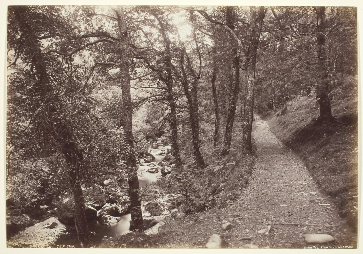 Dolgelley, Torrent Yürüyüşünde Görüntüle, 186094. by Francis Bedford