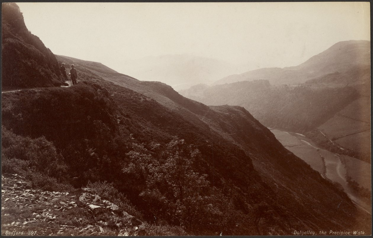  by Francis Bedford