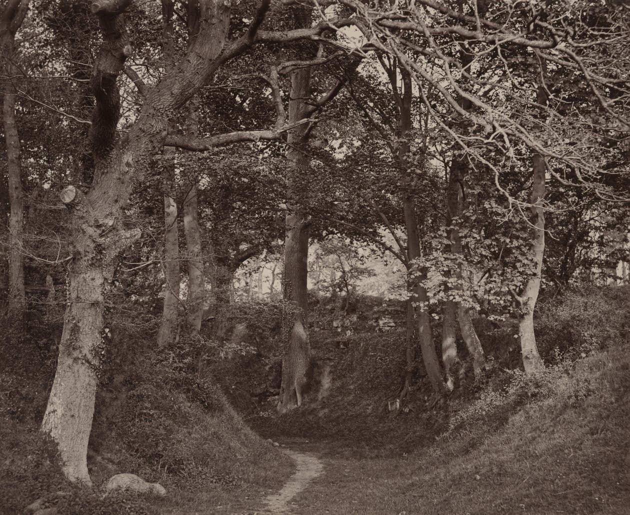  by Francis Bedford
