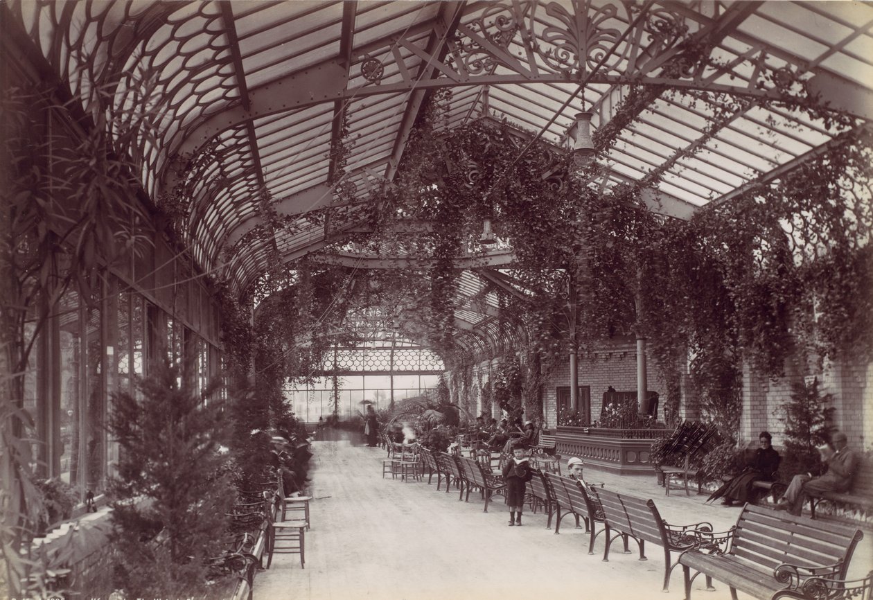 Ilfracombe, Victorian Promenade, 1870