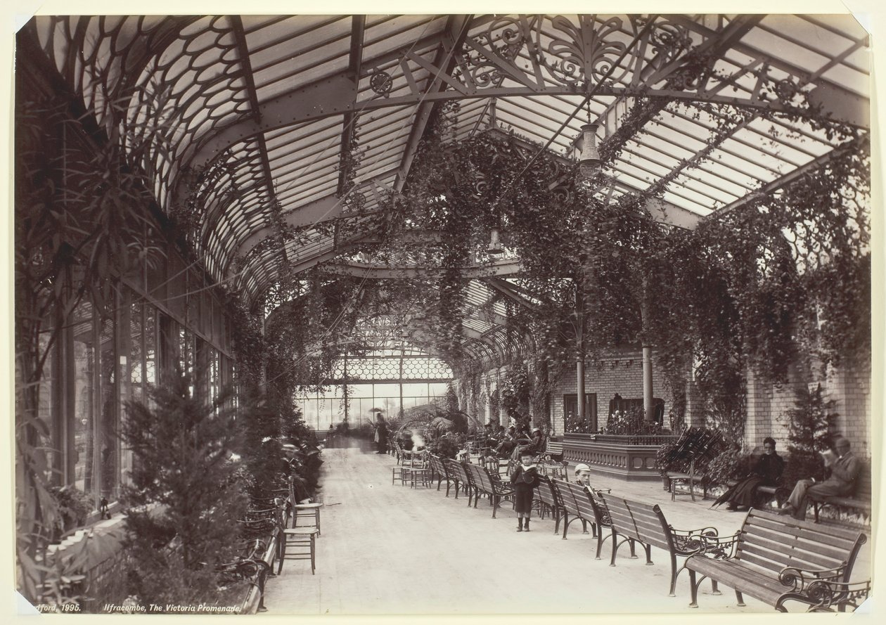 Ilfracombe, Victoria Gezinti Yolu, 186094. by Francis Bedford