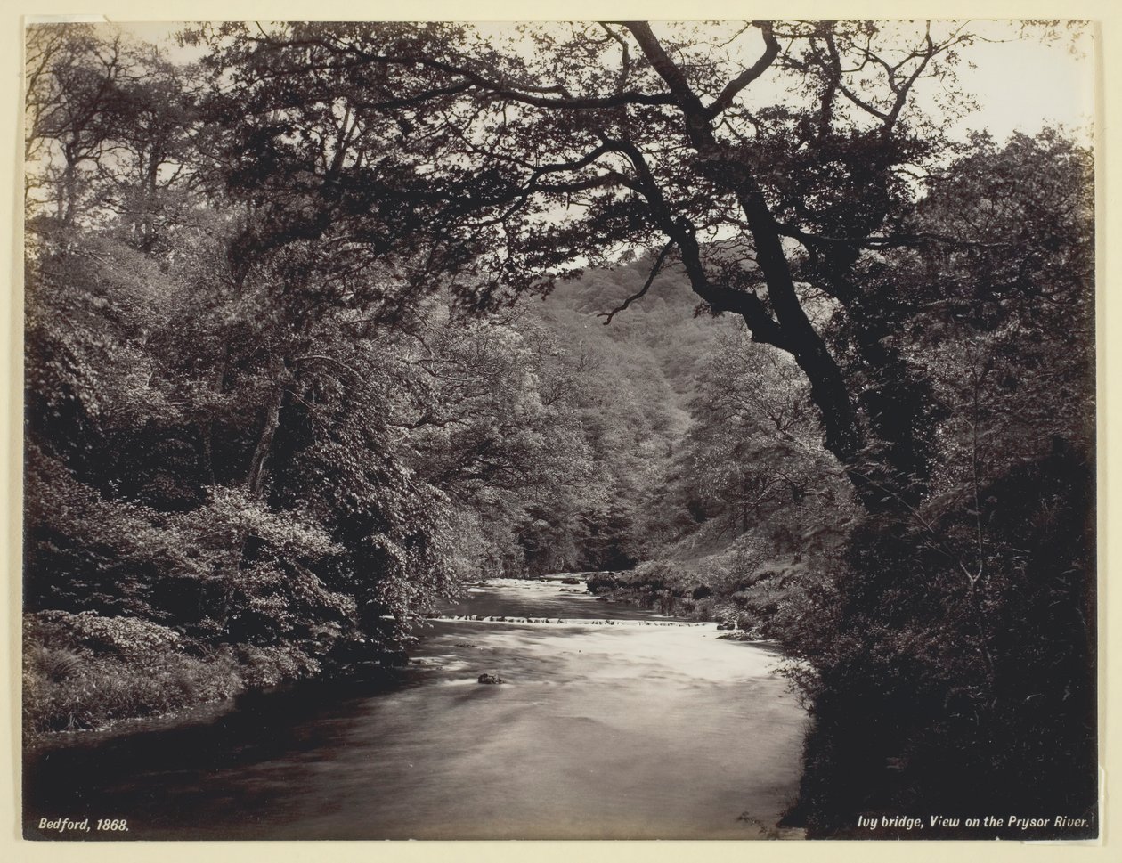 Ivy Bridge, Prysor Nehri
