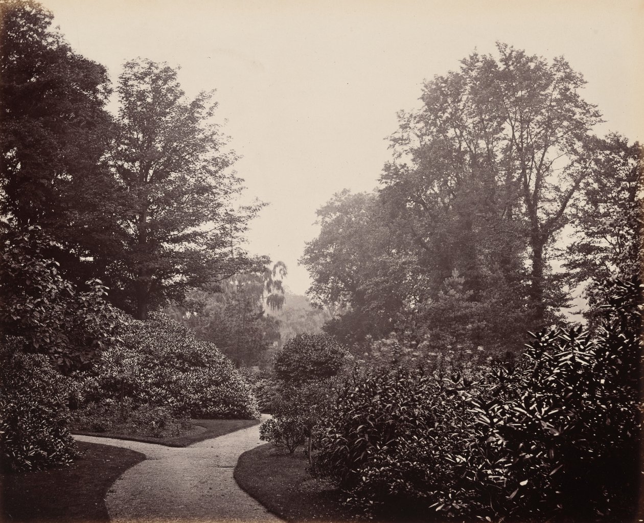  by Francis Bedford