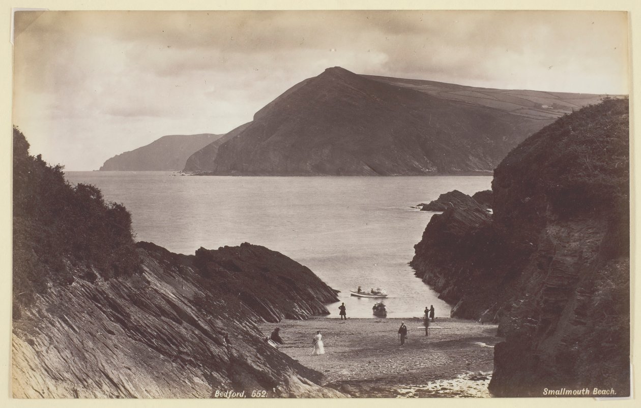 Smallmouth Sahili, 186094. by Francis Bedford