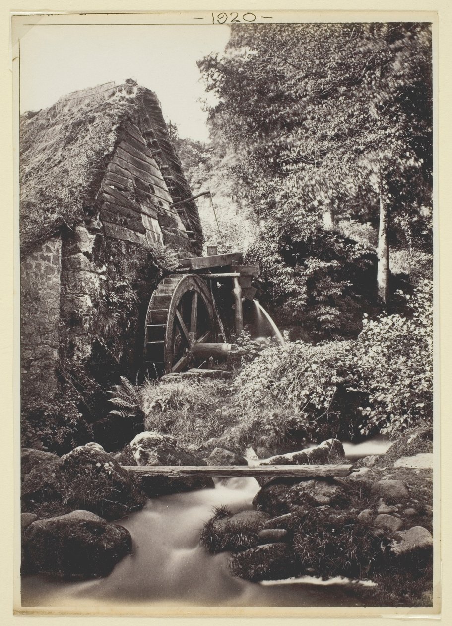 başlıksız by Francis Bedford