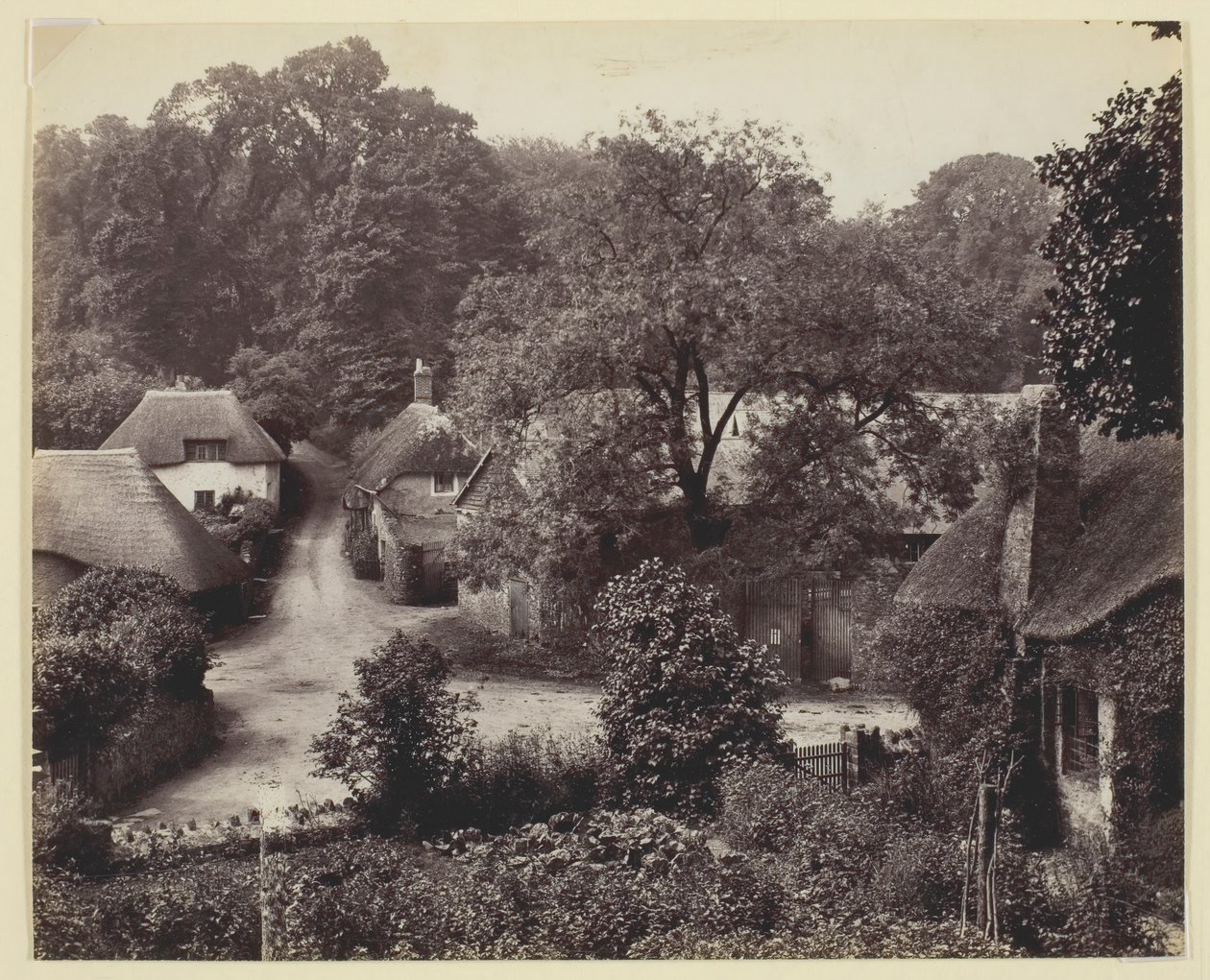 İsimsiz [sazdan kulübeler], 186094. by Francis Bedford