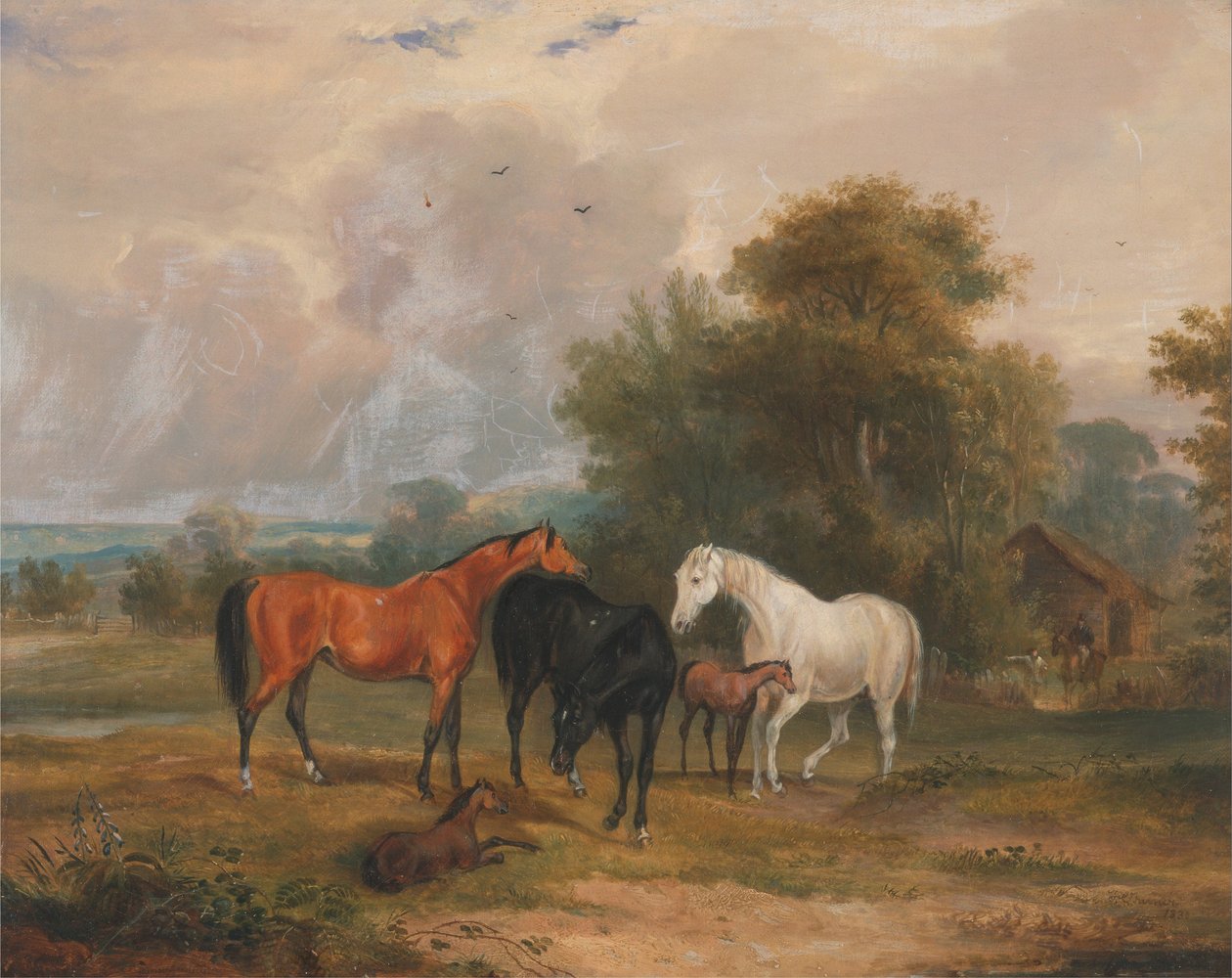  by Francis Calcraft Turner