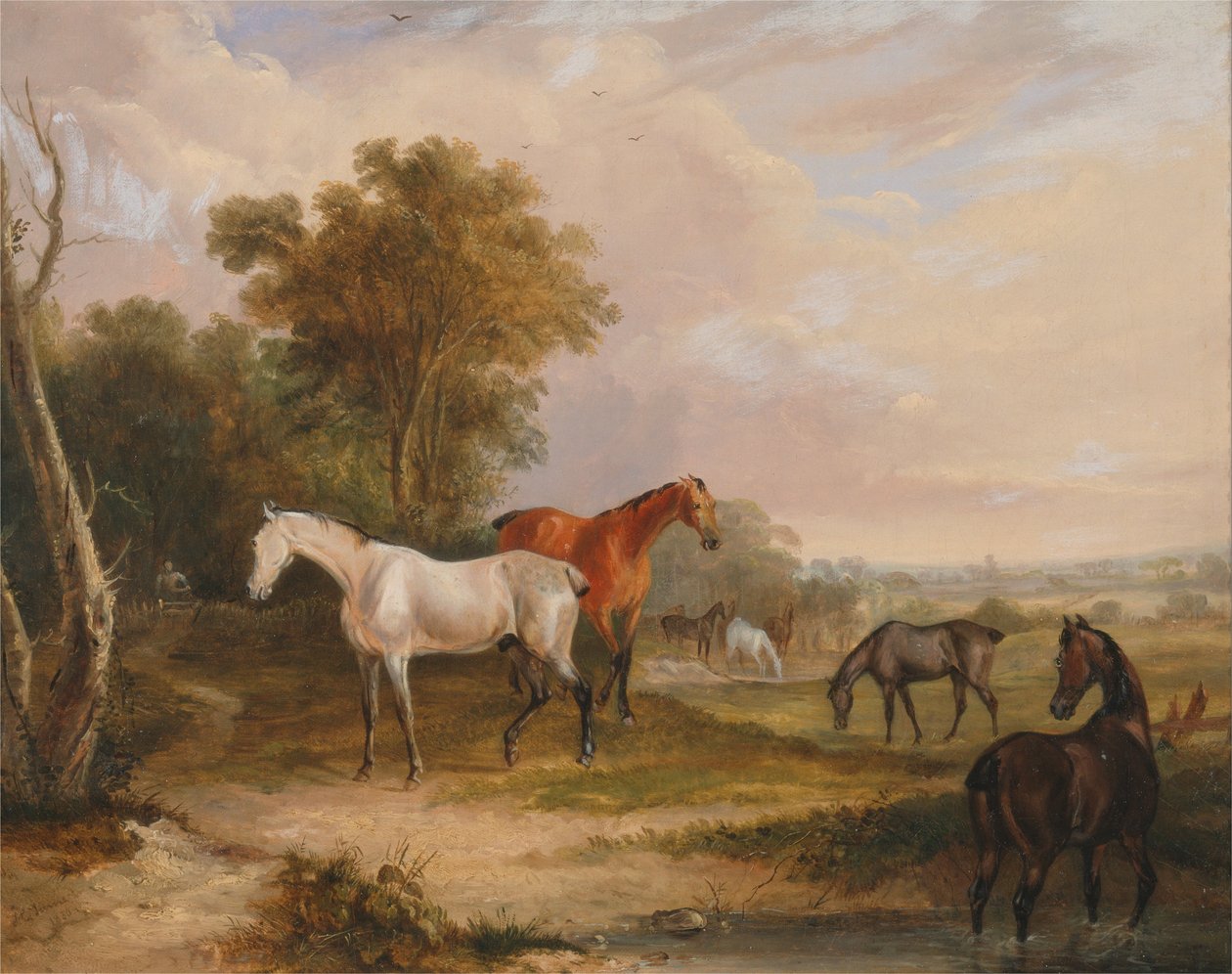  by Francis Calcraft Turner