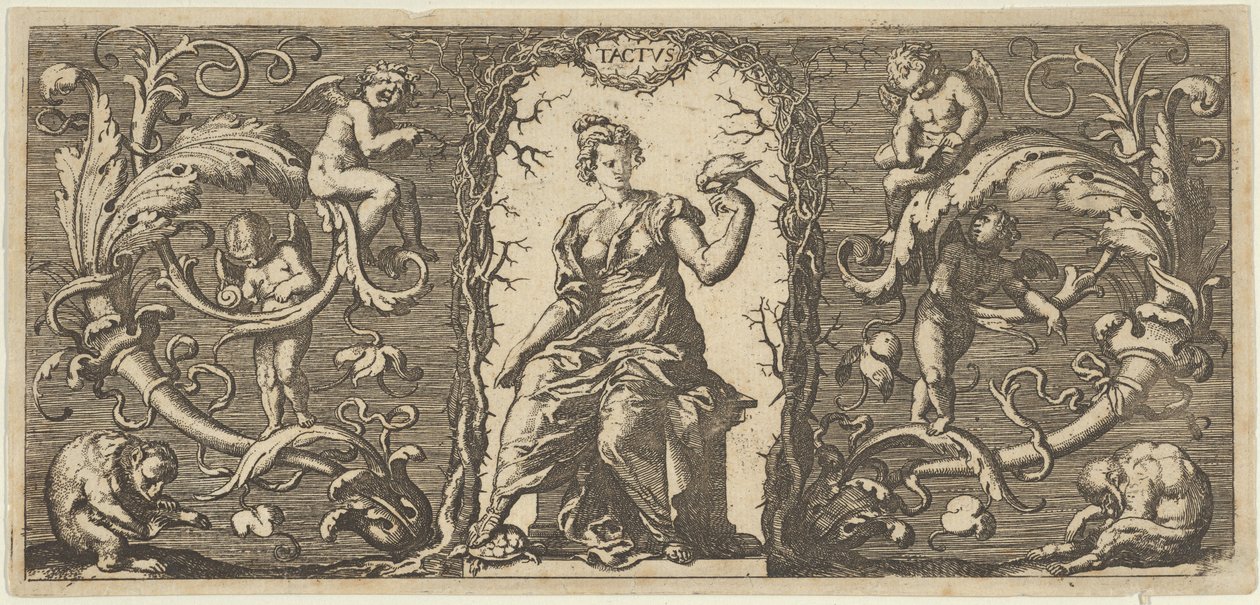 Dokunma Dokunma, Beş Duyudan Beş Duyu, ca. 1655 by Francis Cleyn